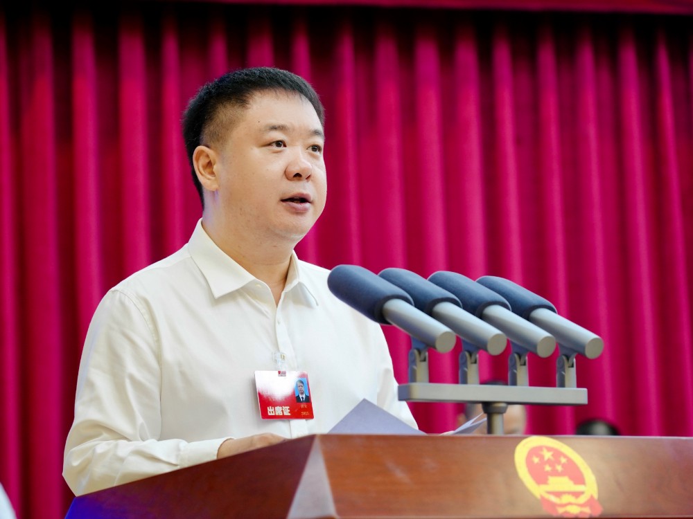 蒼溪縣委副書記、縣長任云作政府工作報告.jpg